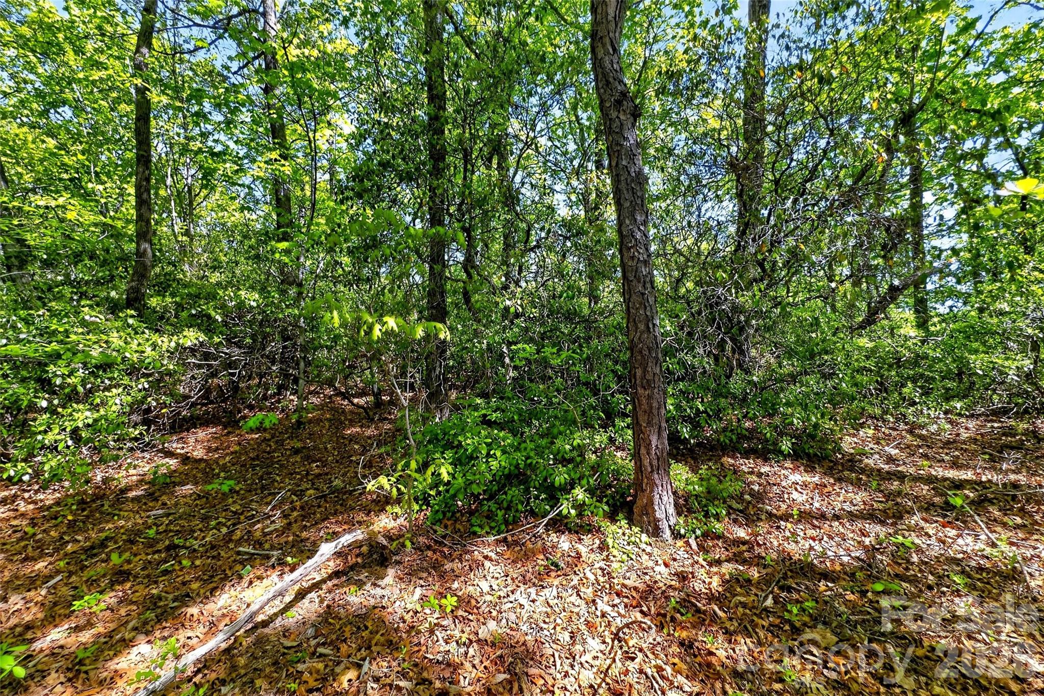 Gateway Mountain - Land