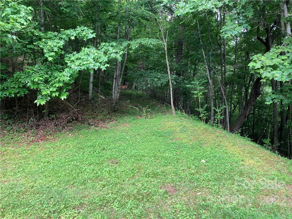 1161 Standing Deer Trace 130