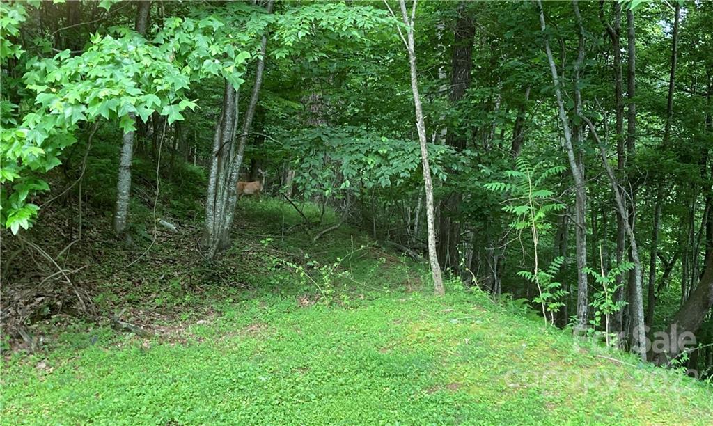 1161 Standing Deer Trace 130