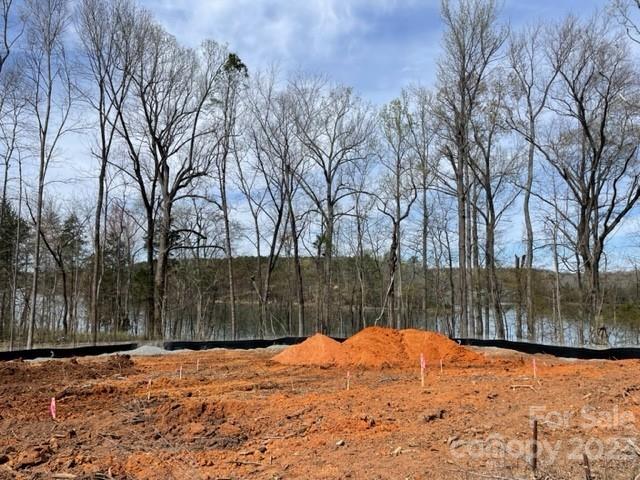 Imagery On Mtn Island - Residential
