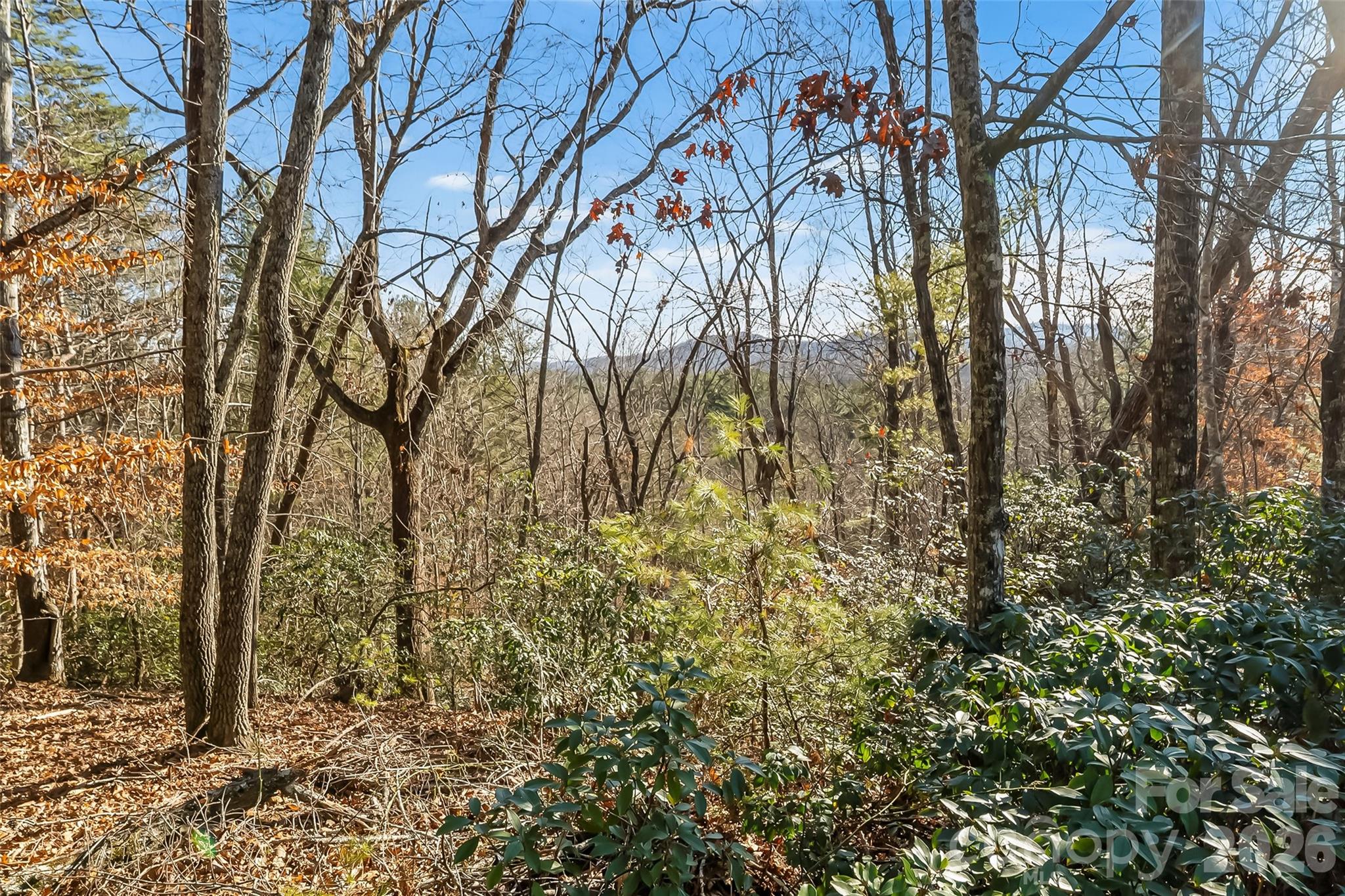 The Arbor at Lake James - Land