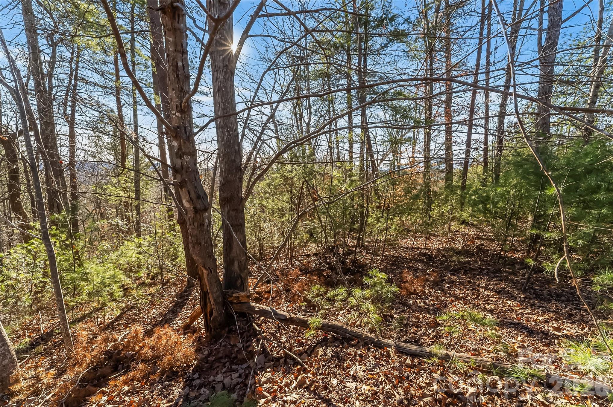 The Arbor at Lake James - Land