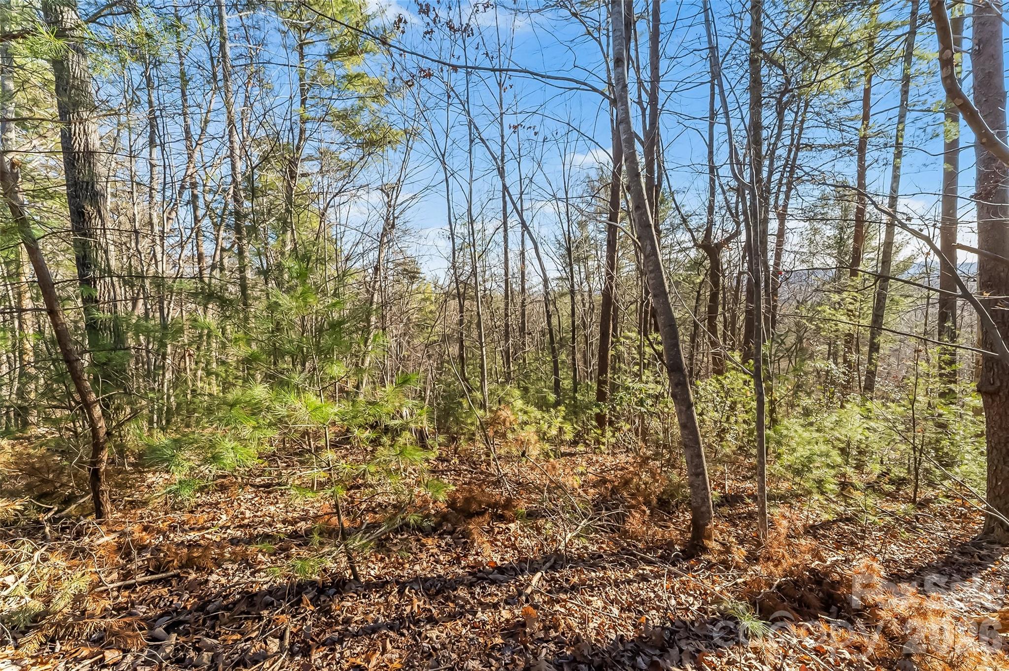 The Arbor at Lake James - Land