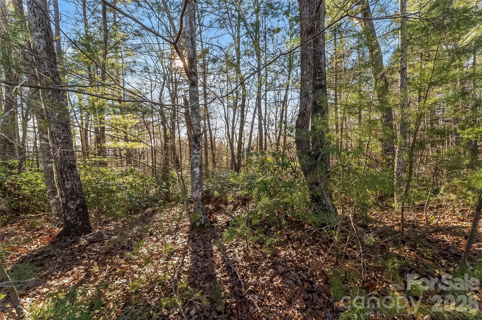 The Arbor at Lake James - Land