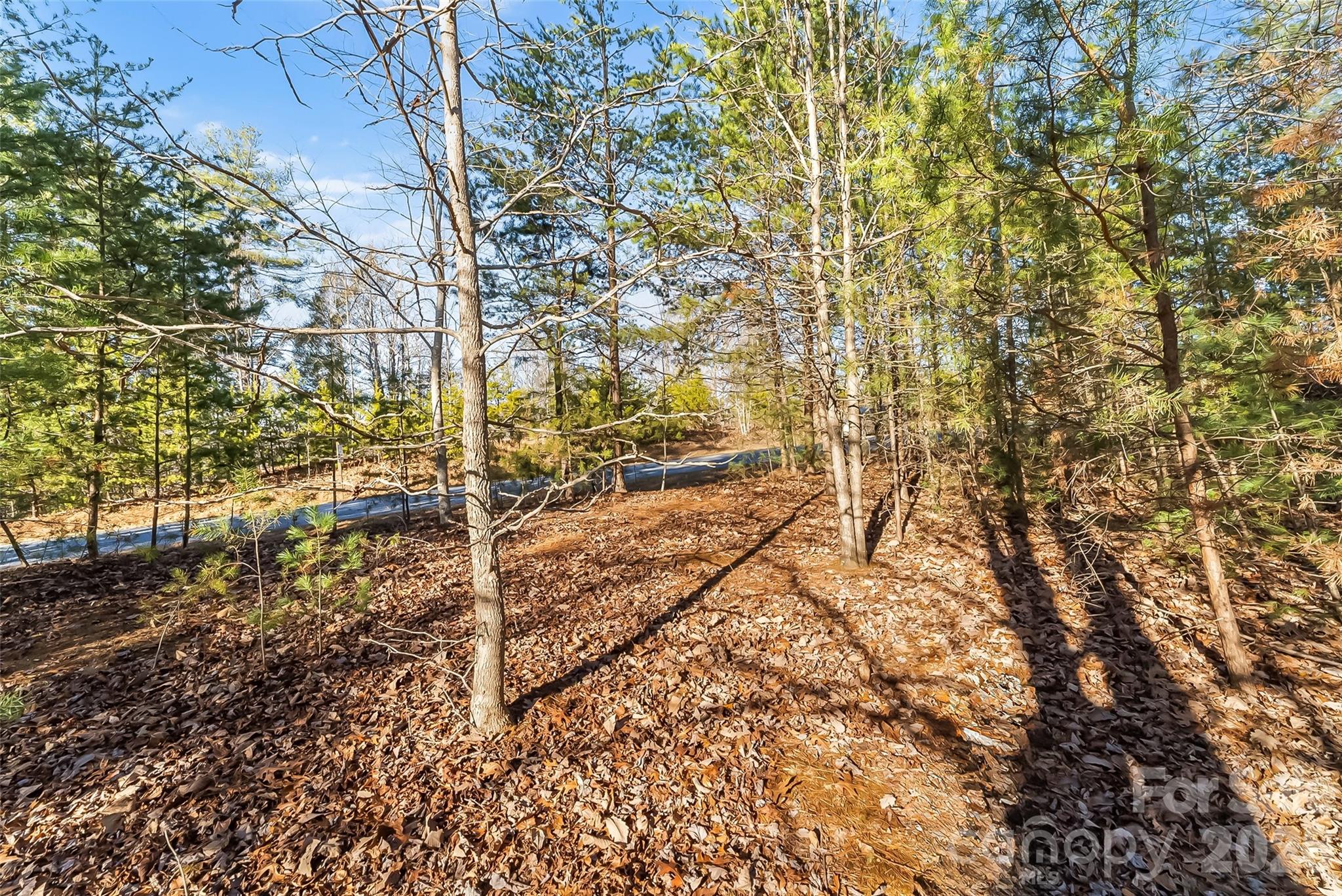 The Arbor at Lake James - Land