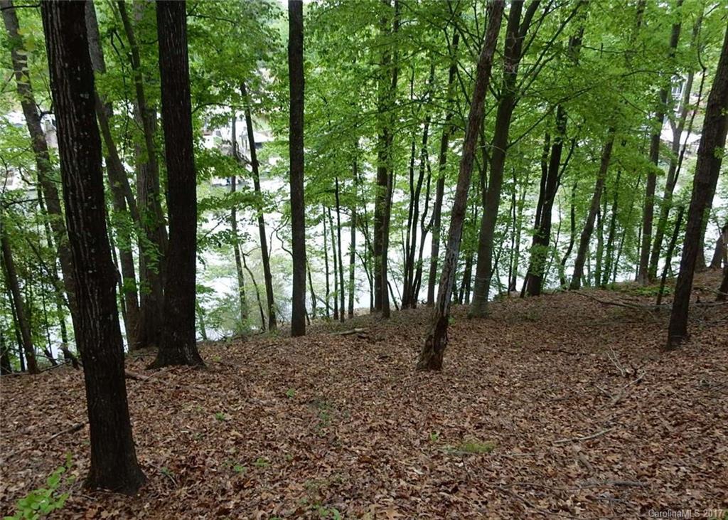 Reflection Pointe - Land