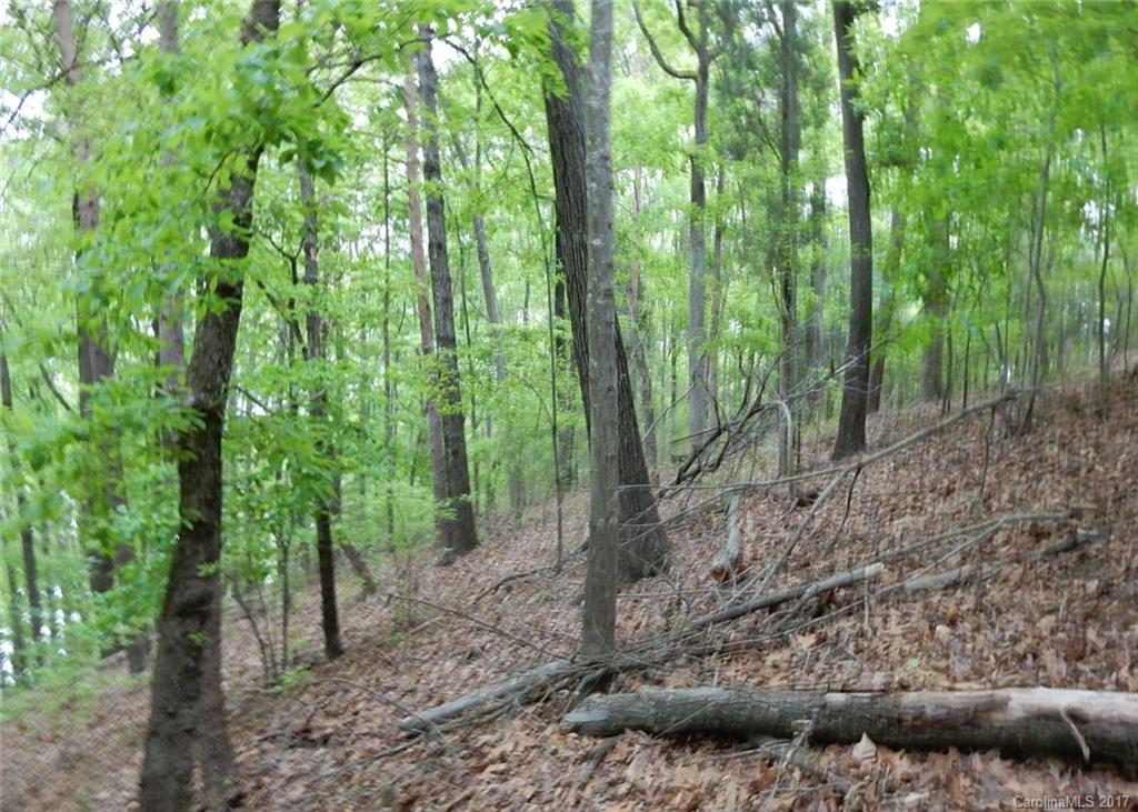 Reflection Pointe - Land