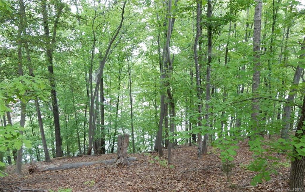 Reflection Pointe - Land