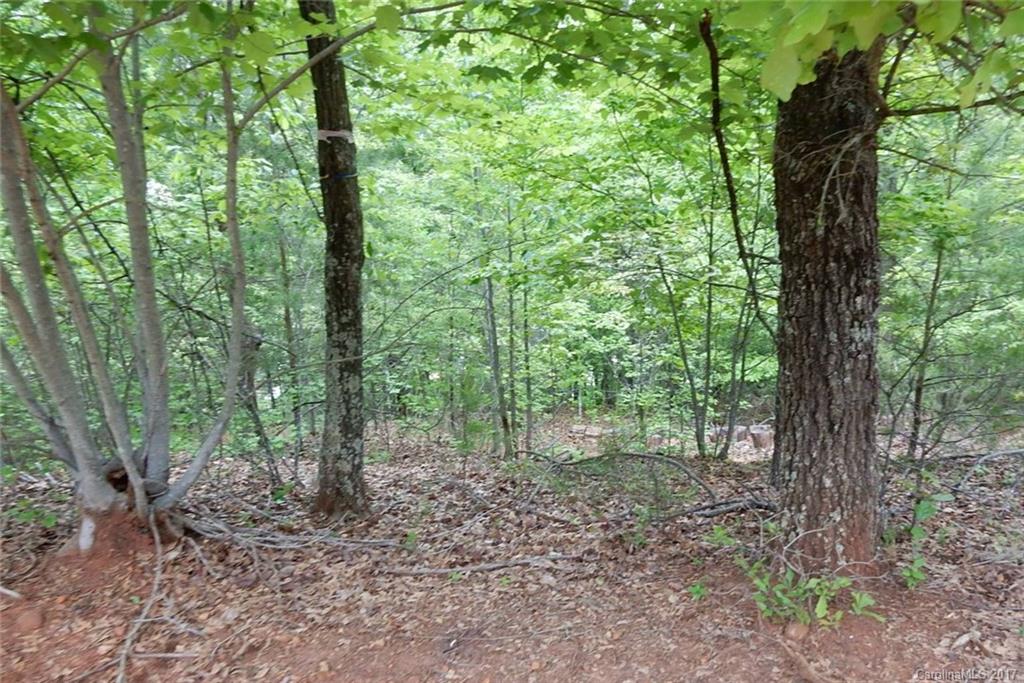 Reflection Pointe - Land