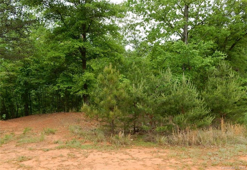 Reflection Pointe - Land