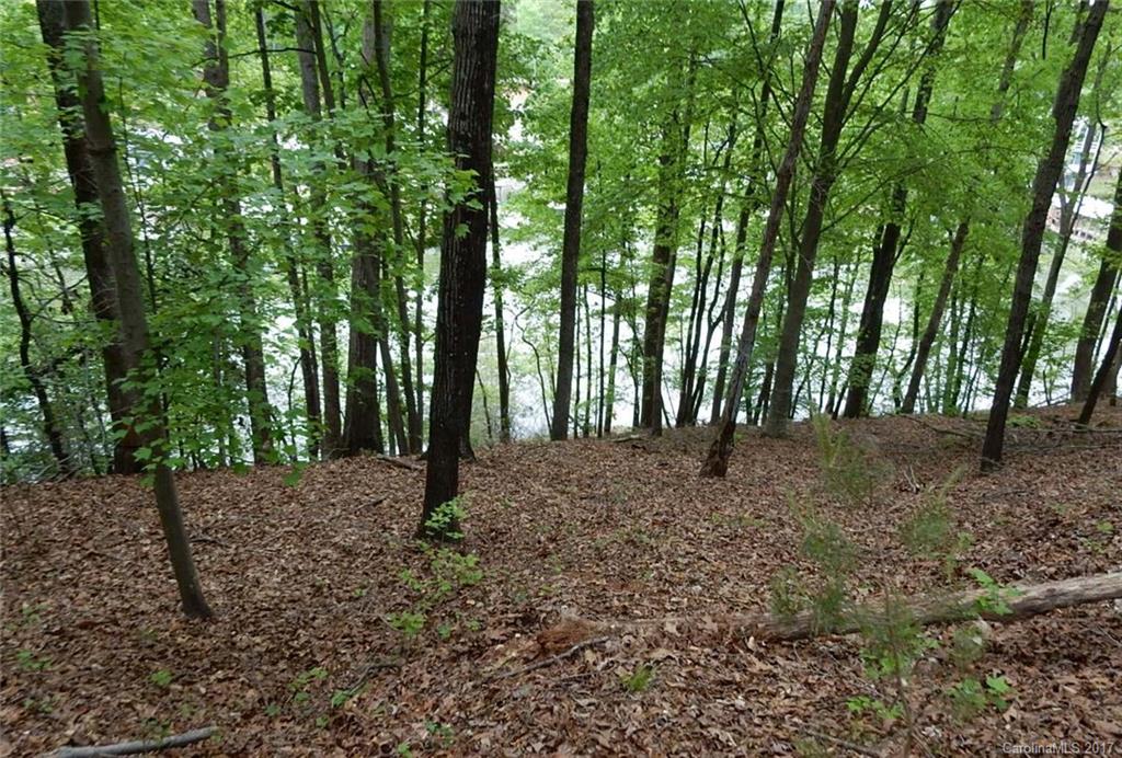 Reflection Pointe - Land