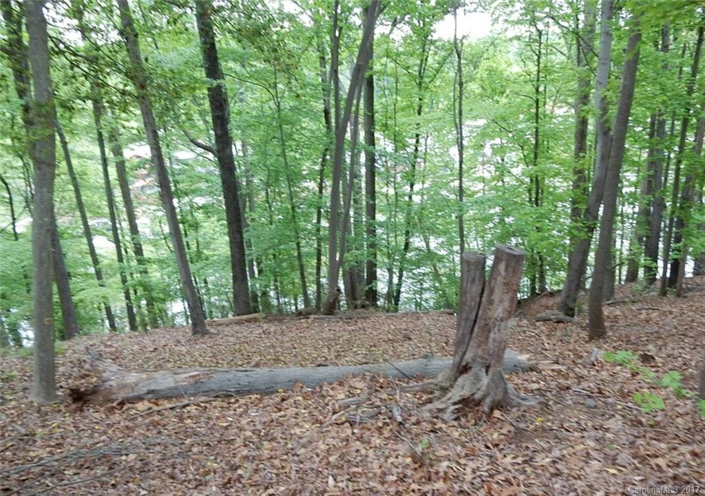 Reflection Pointe - Land