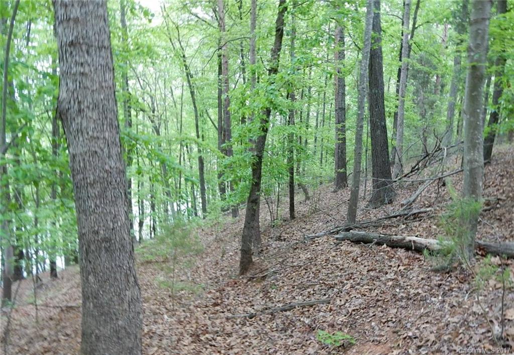 Reflection Pointe - Land