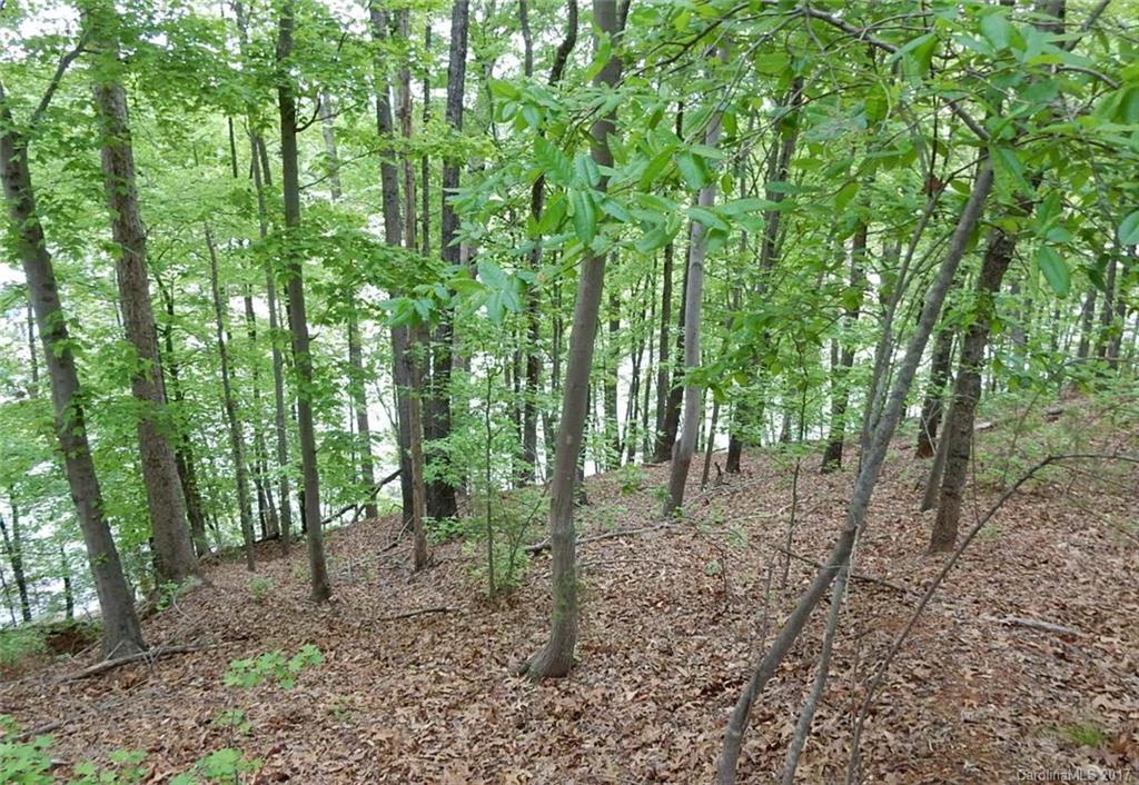 Reflection Pointe - Land