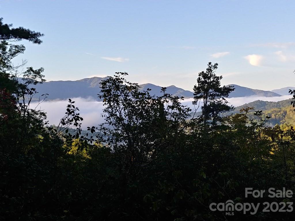 Lot 42 The Knoll None