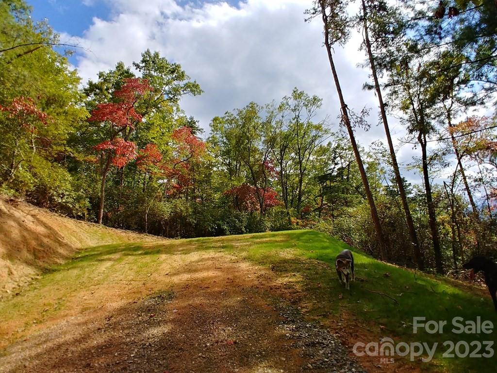 Lot 42 The Knoll None