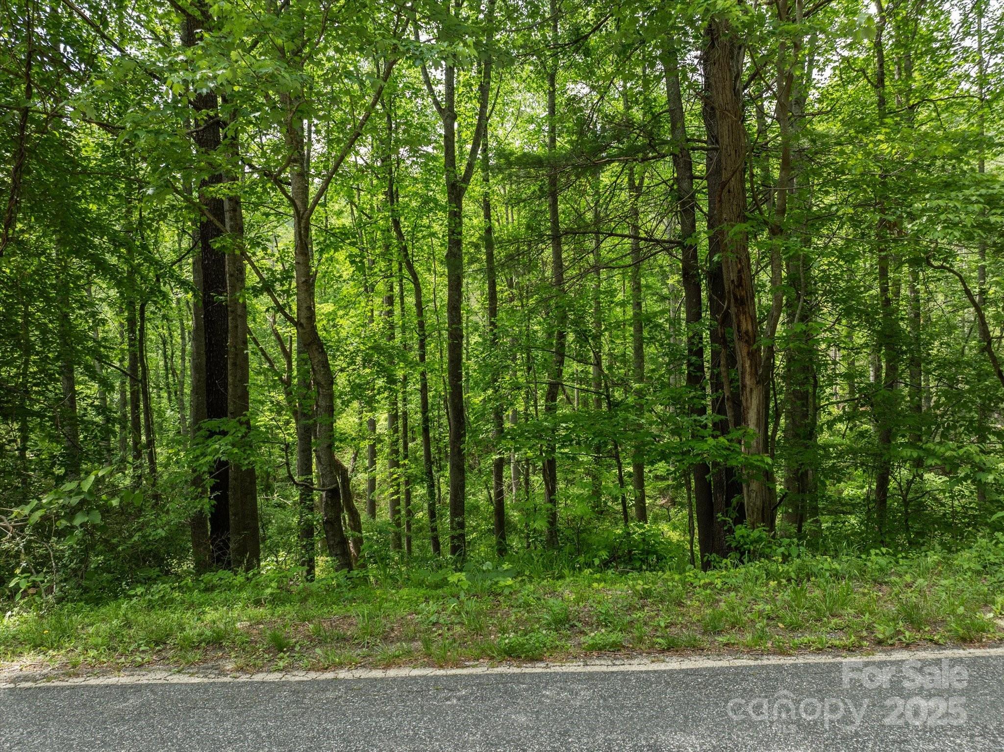 99999 Moody Cove Road 1