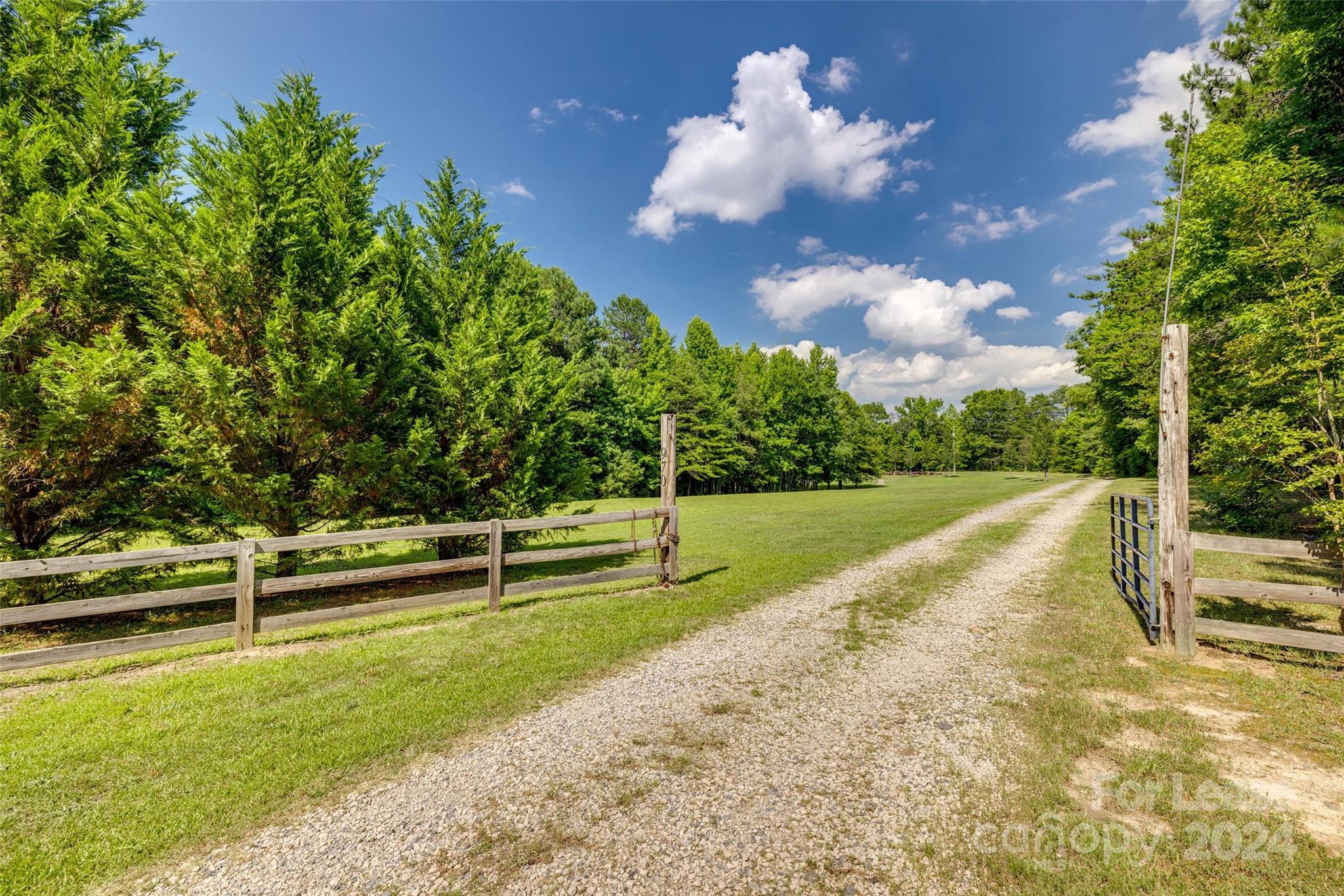 None - Residential Lease