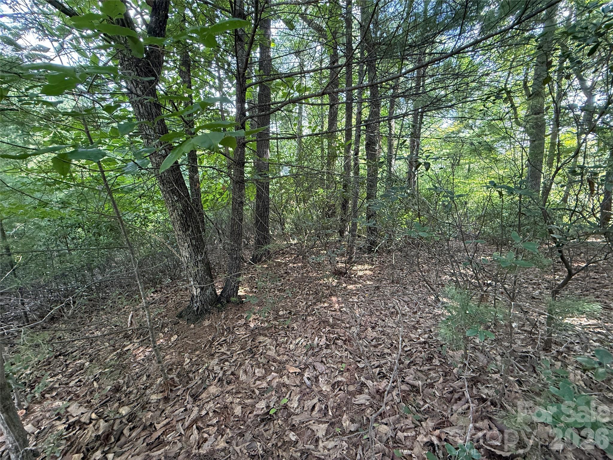 TBD Rich Pine Drive 119