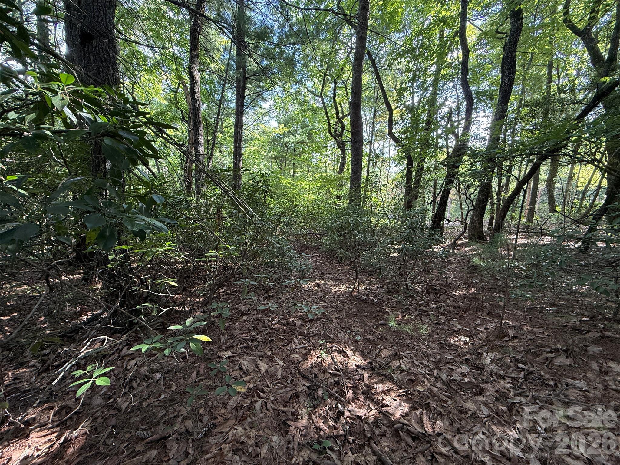 TBD Rich Pine Drive 119