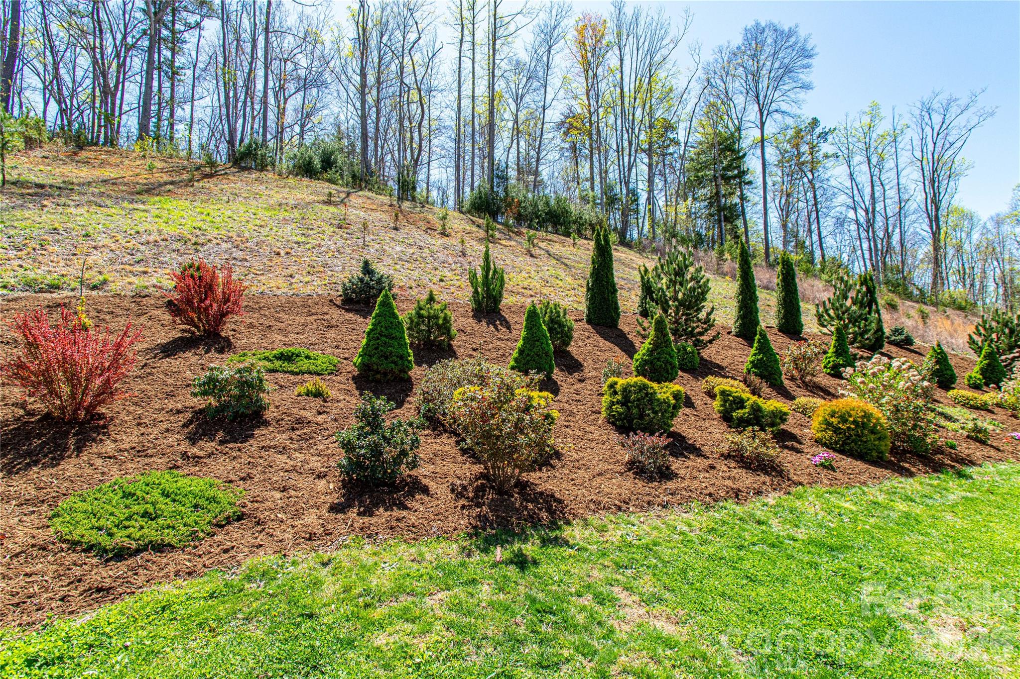 Maple Trace - Residential