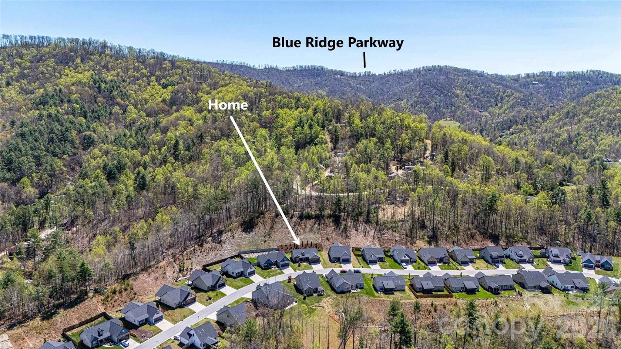 Maple Trace - Residential