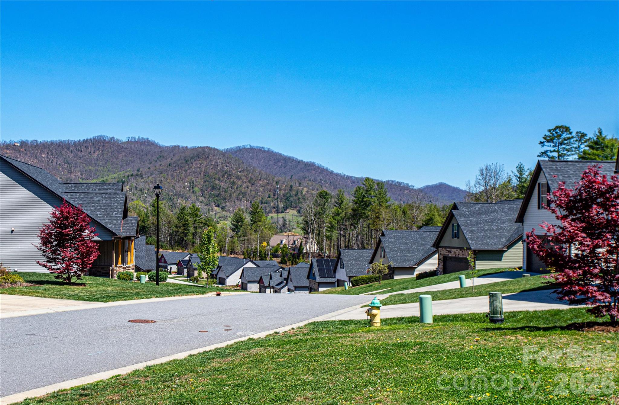 Maple Trace - Residential