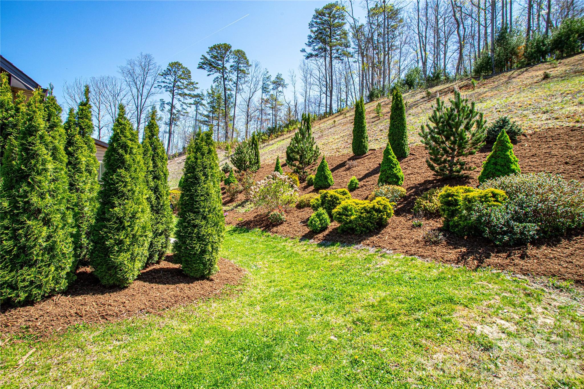 Maple Trace - Residential