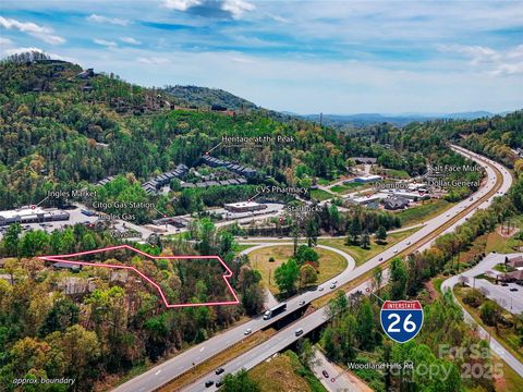 Photo of 99999 Blueberry Hill Road, Woodfin, NC 28804 (MLS # 4256071)