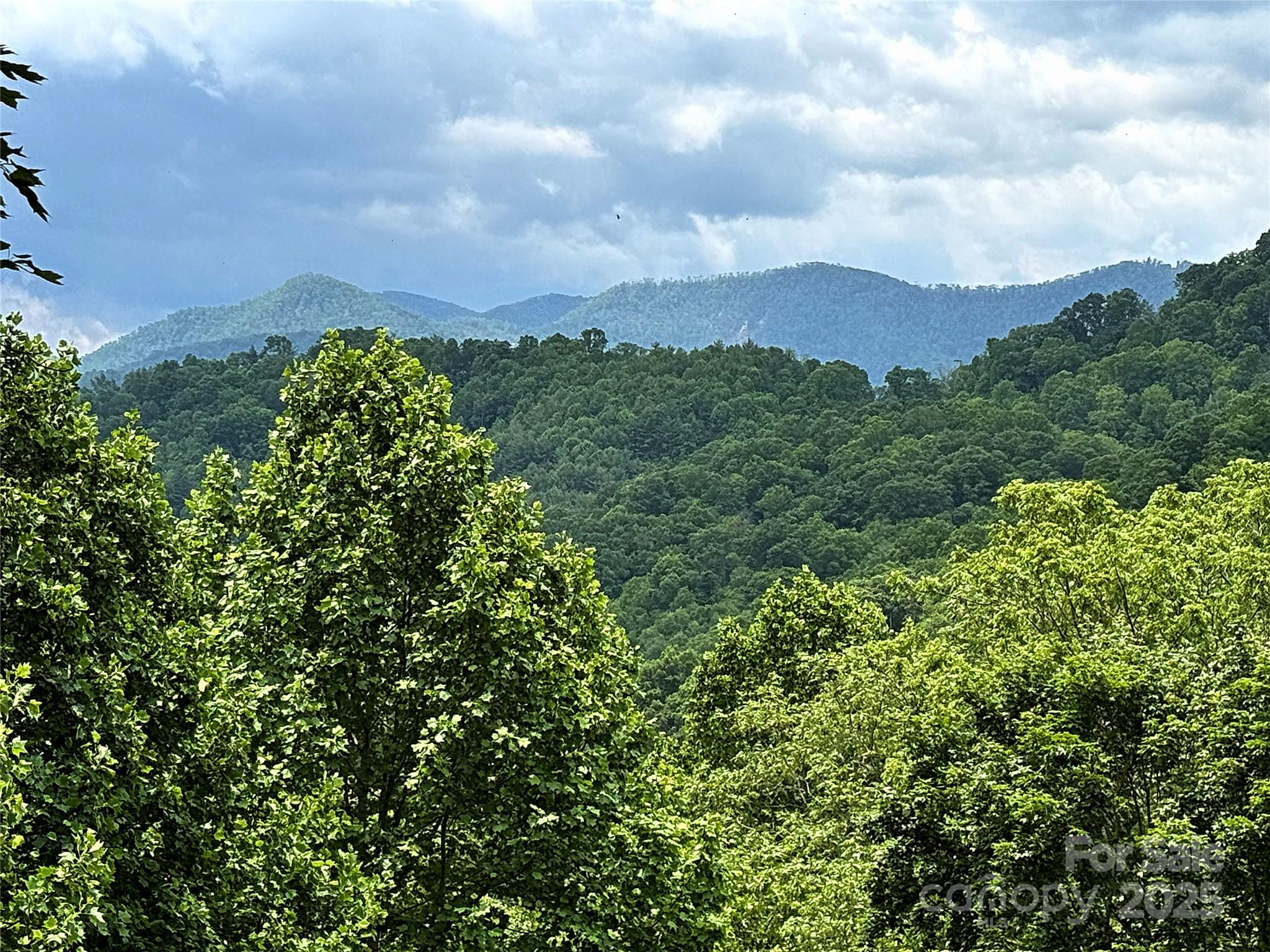 311 Pisgah Mine Road