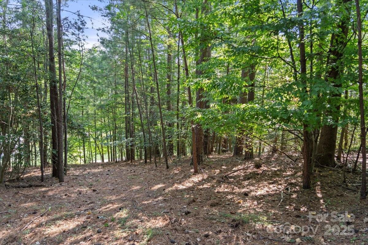 Northview Harbour - Land