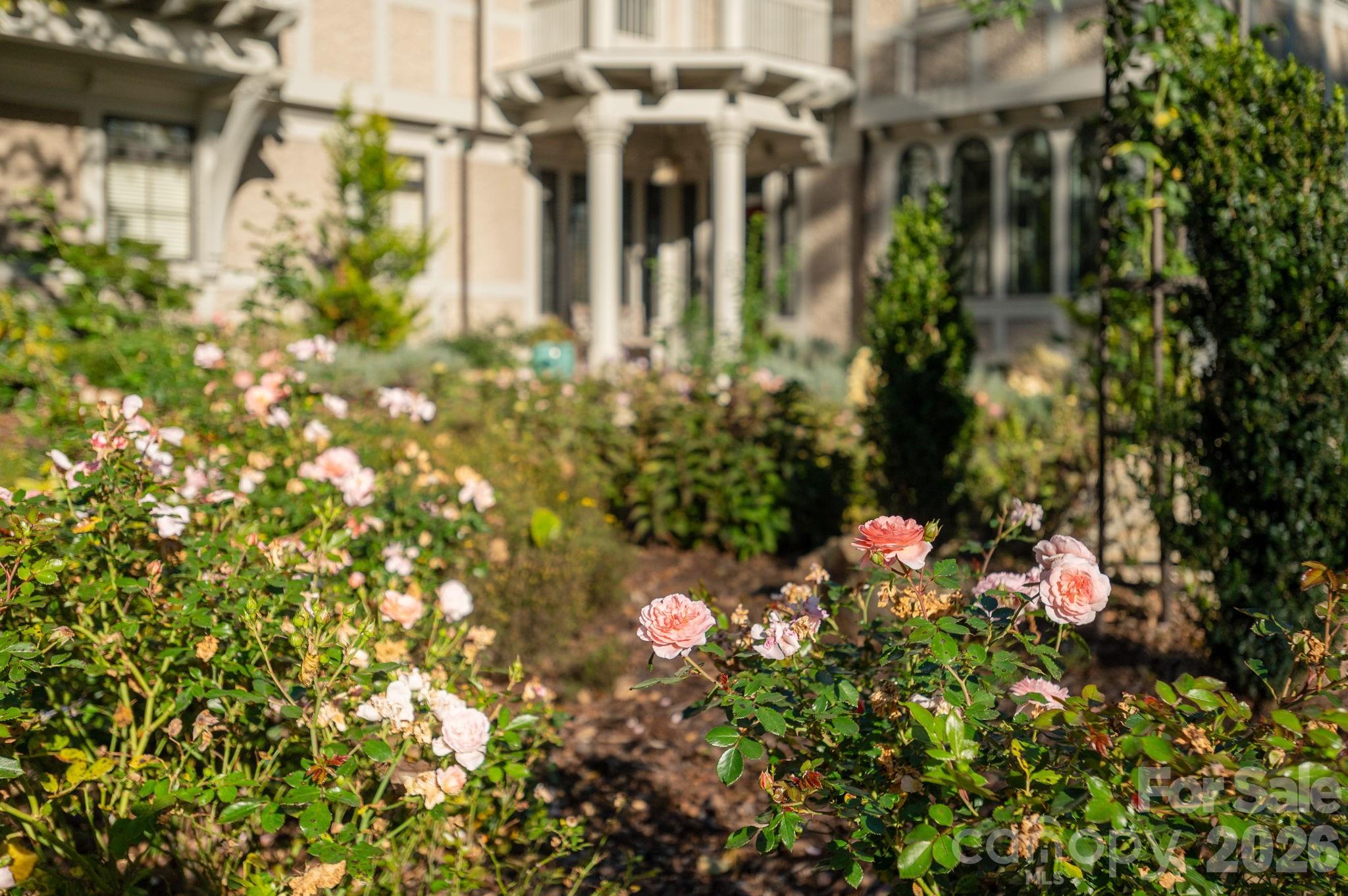 Biltmore Forest - Residential
