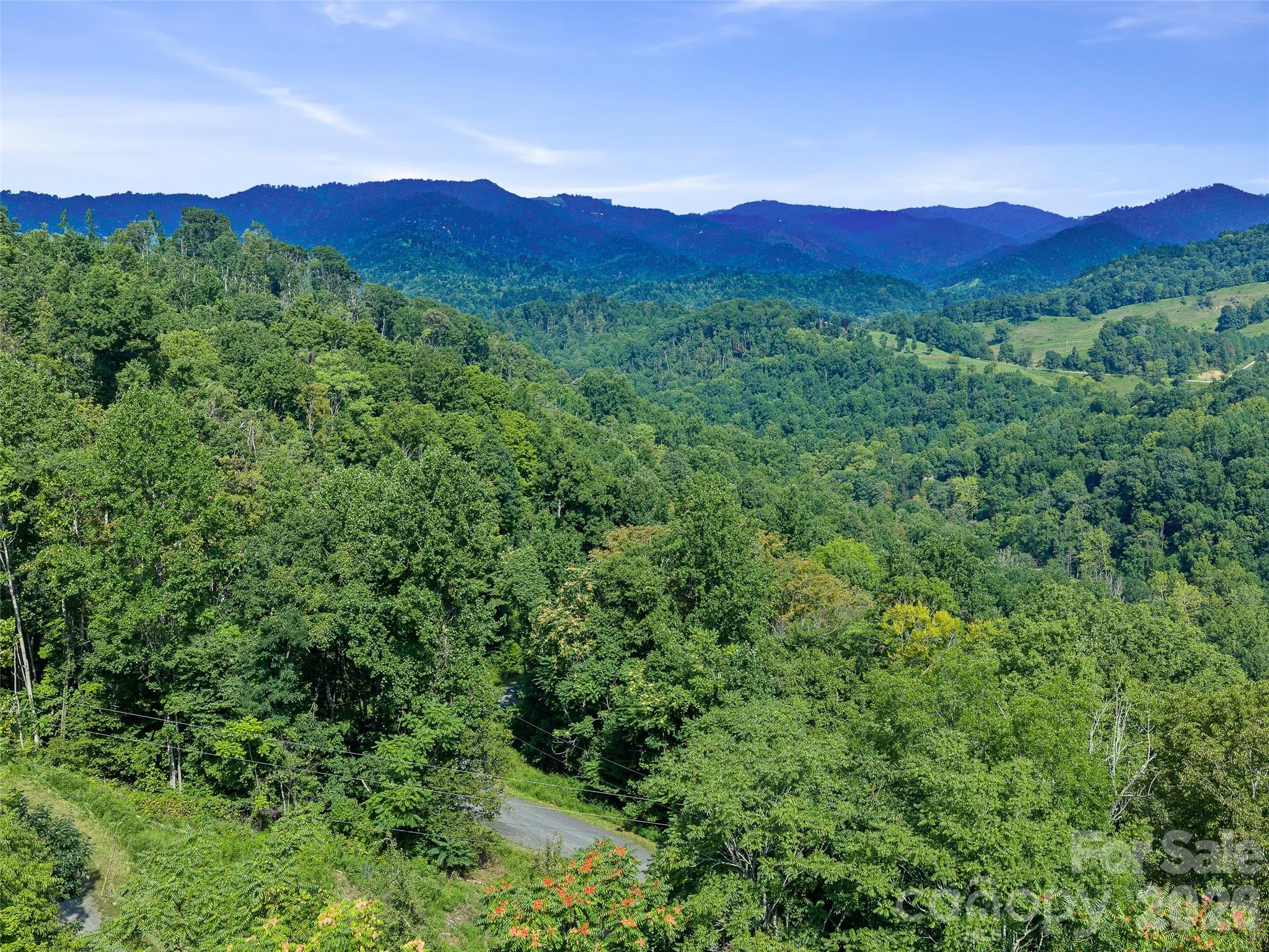 Lot #63-65 Bear Ridge Road