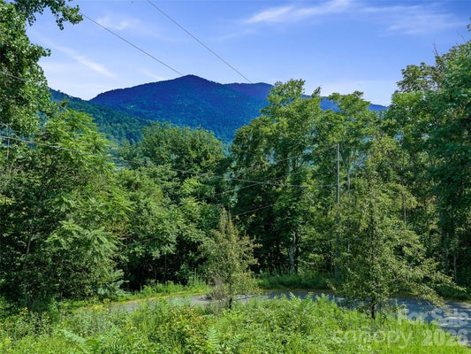 BEAR RIDGE RD, BAKERSVILLE, NC 28705 - Image 0150ee94bc2b4ae9f3d48b310afb051e/3234916623