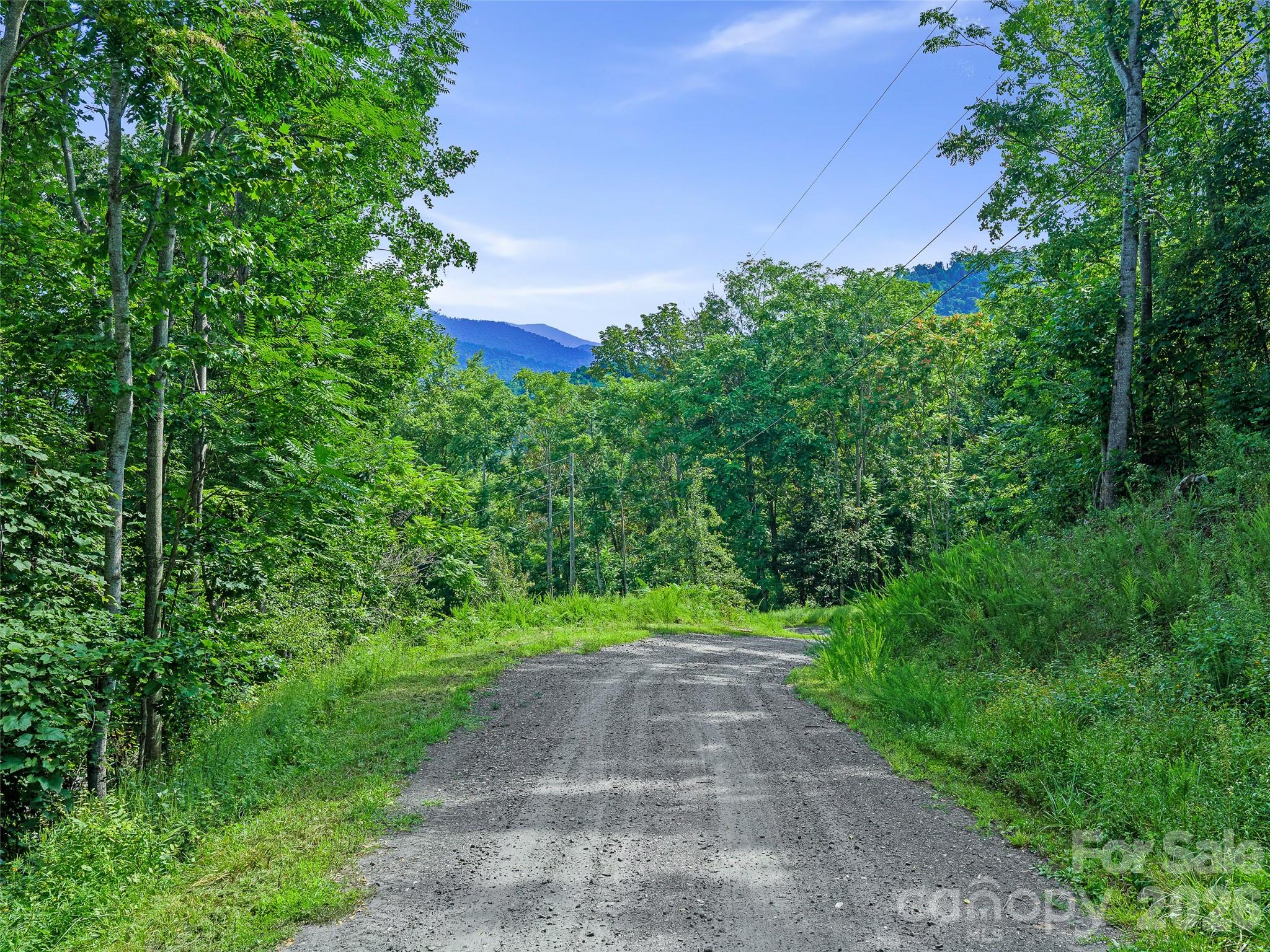 Lot #63-65 Bear Ridge Road