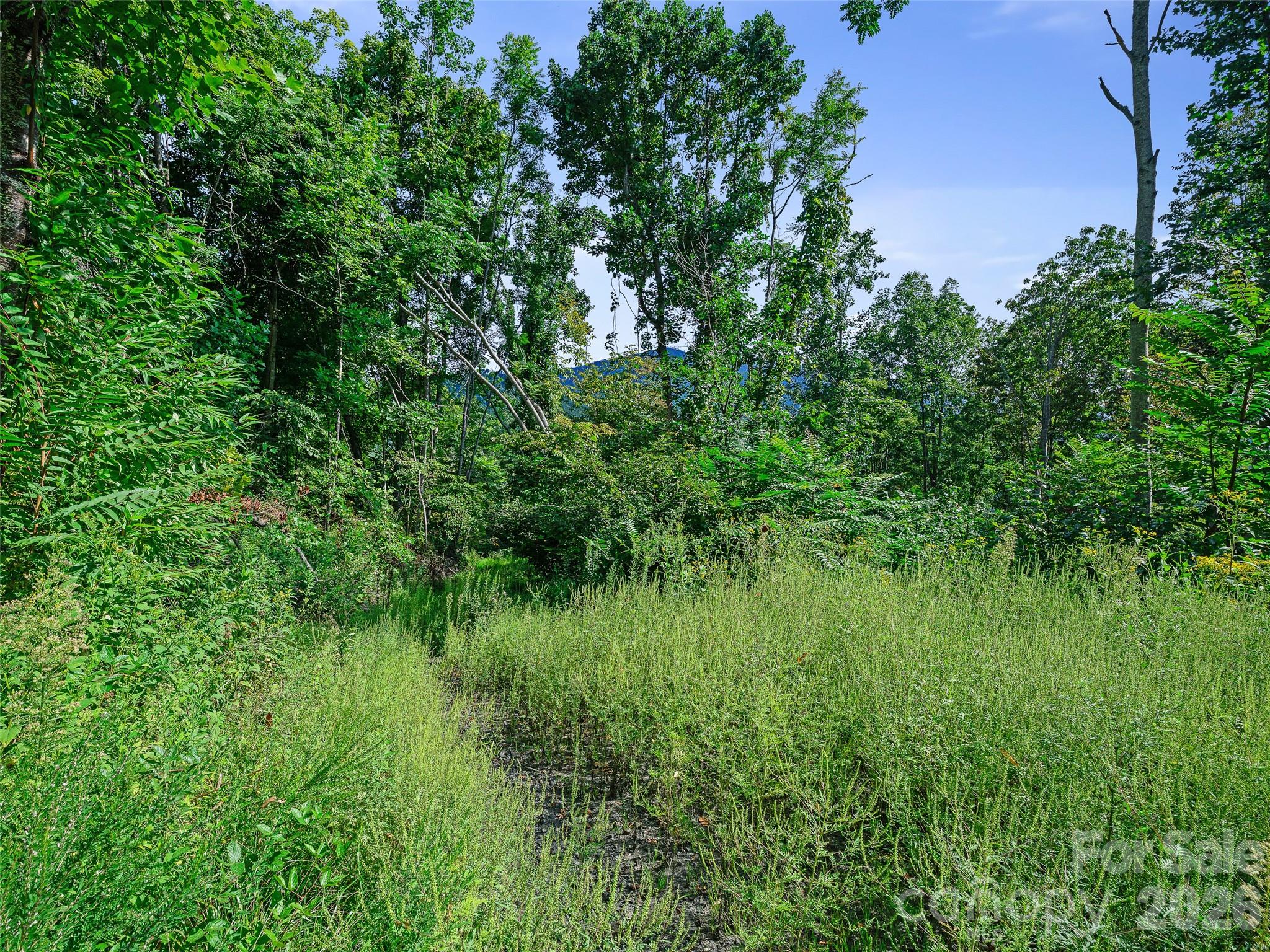 Lot #63-65 Bear Ridge Road