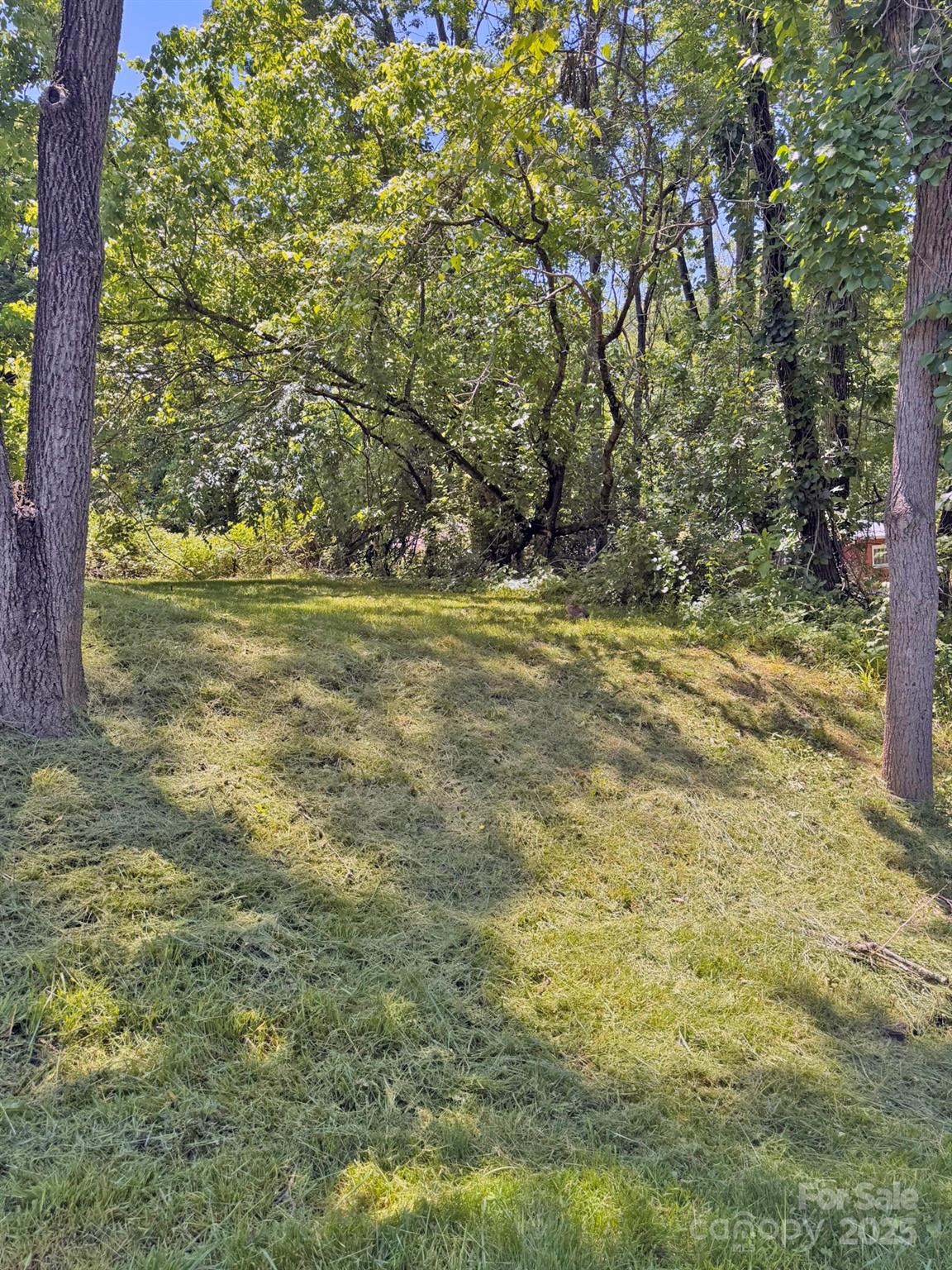 Biltmore - Residential