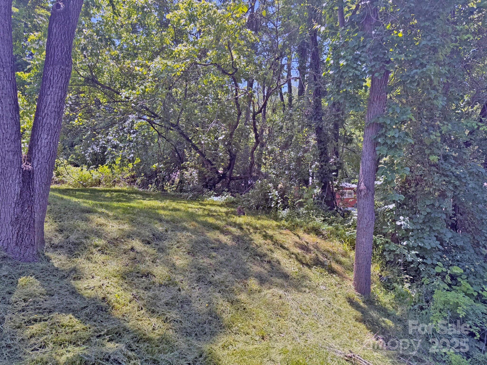 Biltmore - Residential