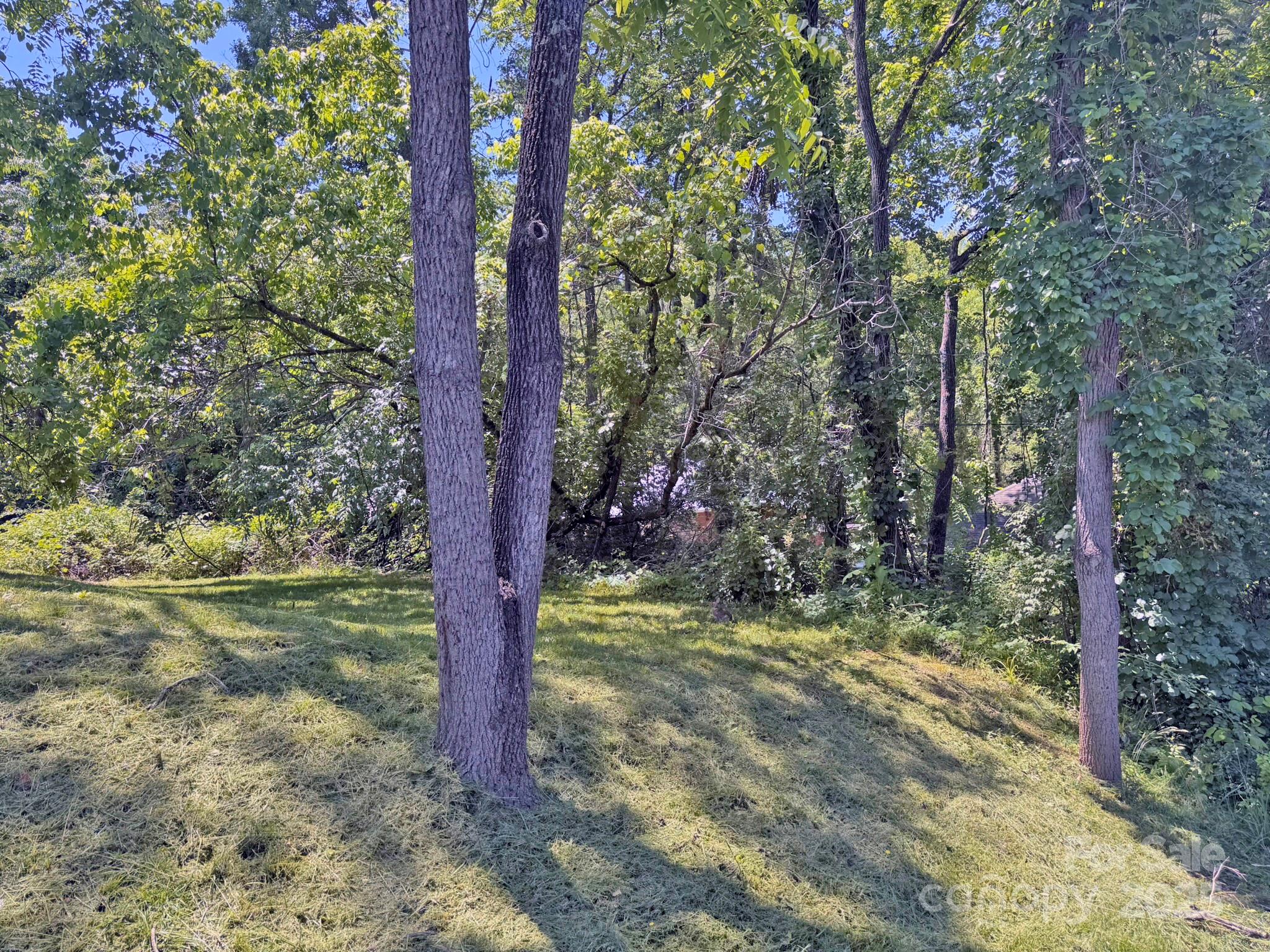 Biltmore - Residential