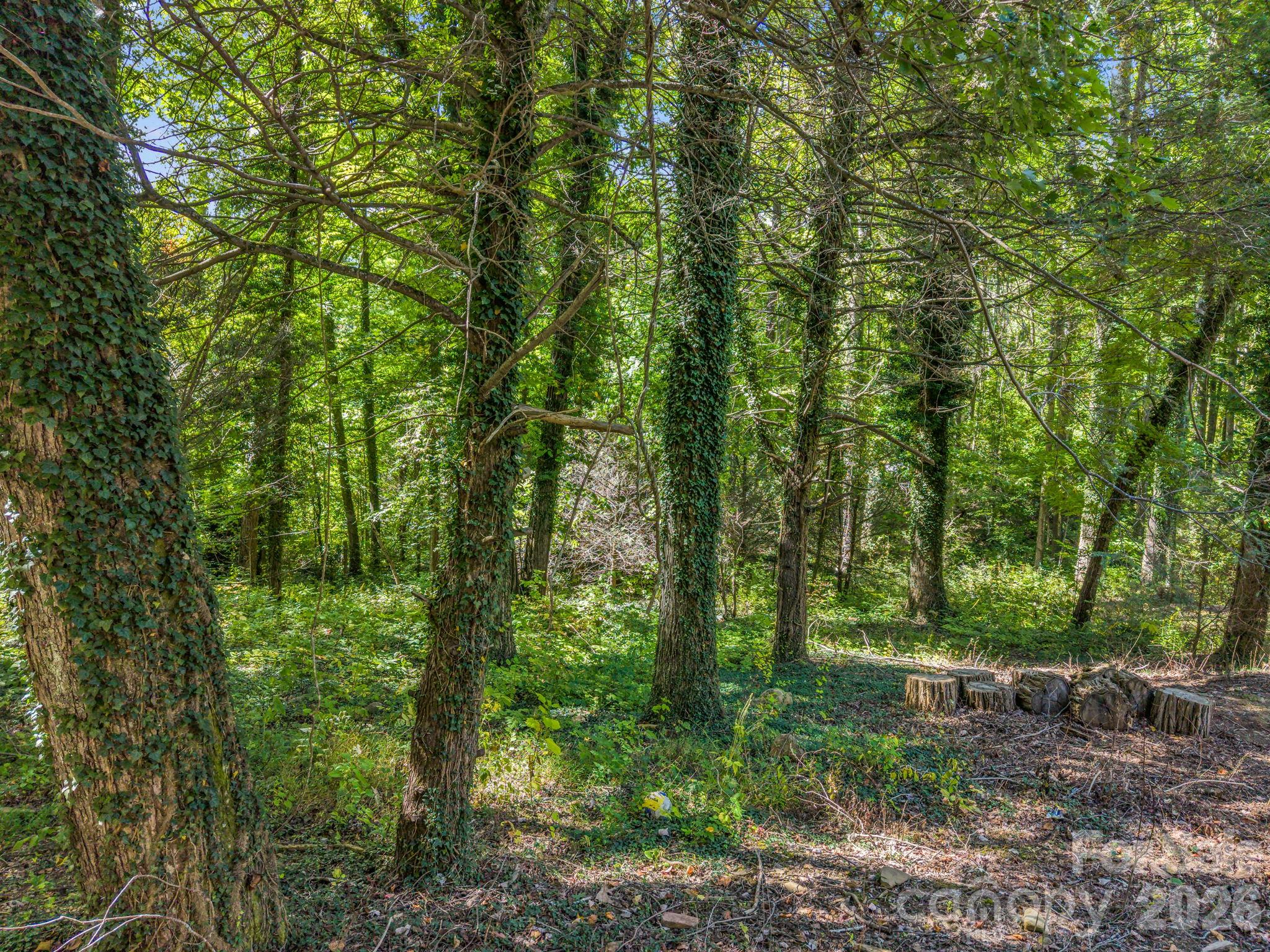 242 Summer Haven Road