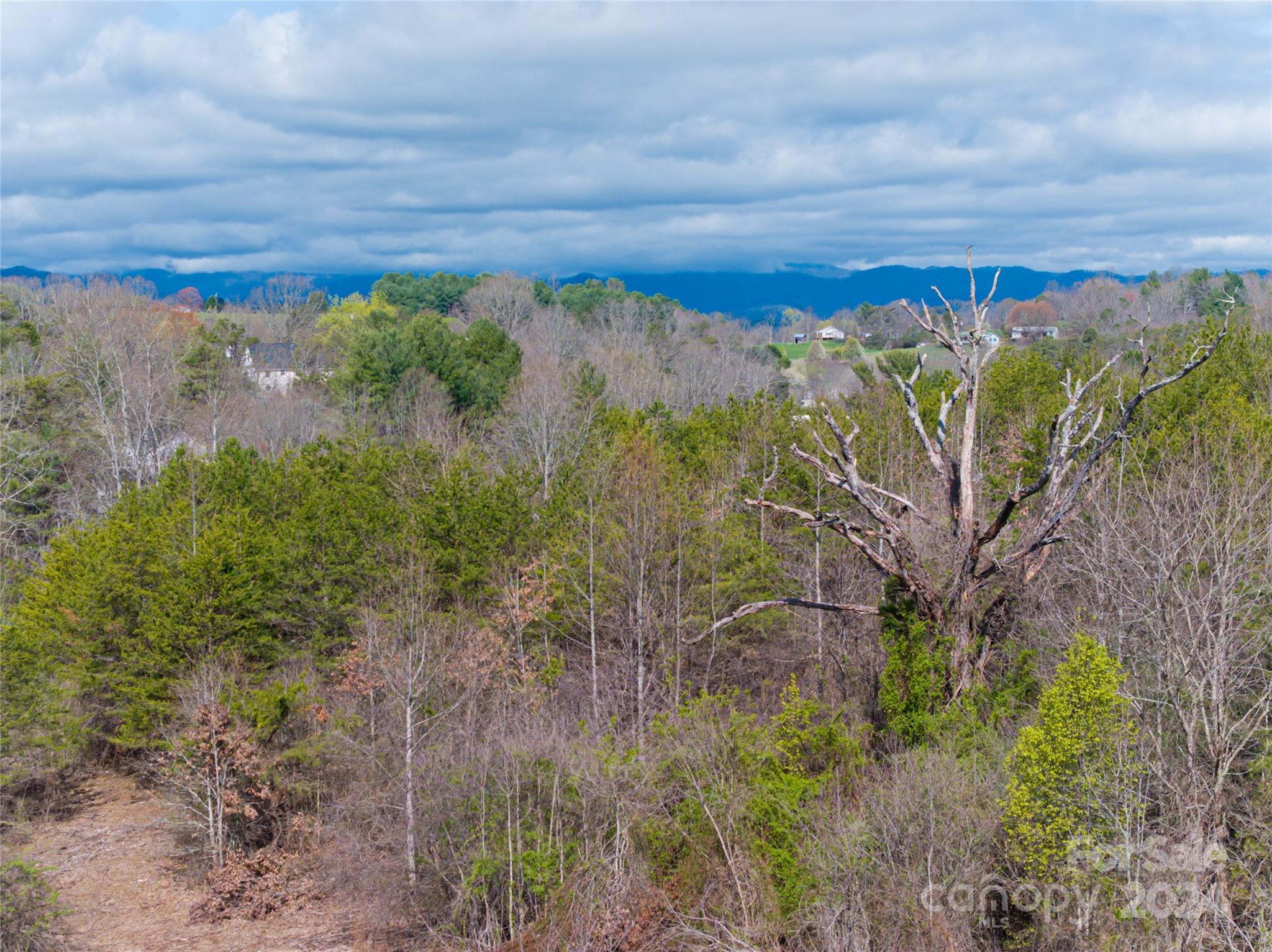 Walnut Grove Plantation - Residential