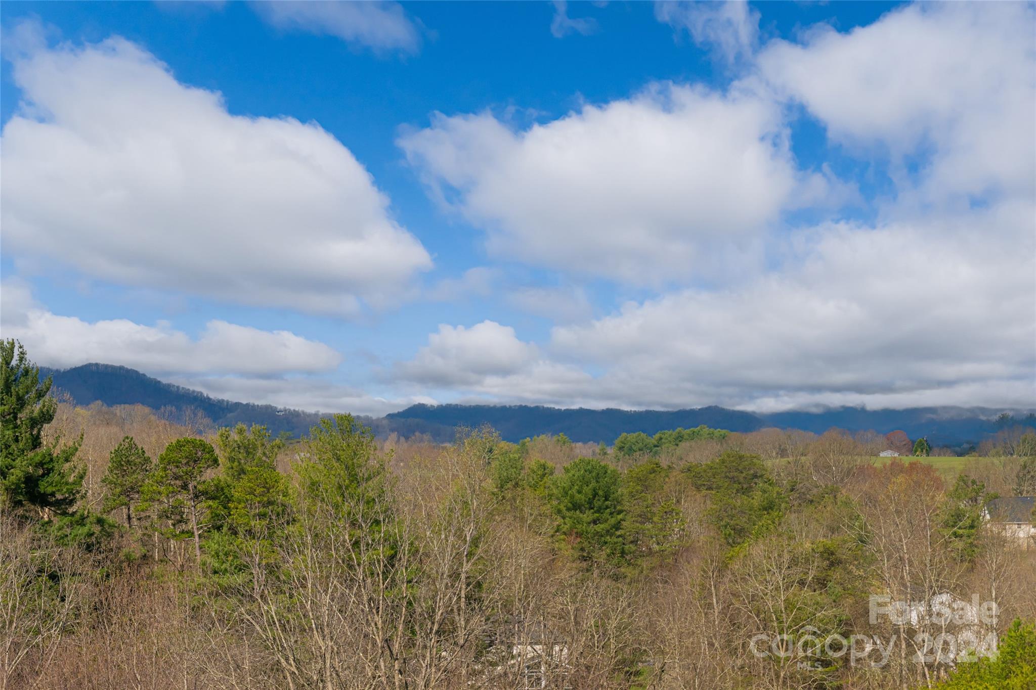 Walnut Grove Plantation - Residential