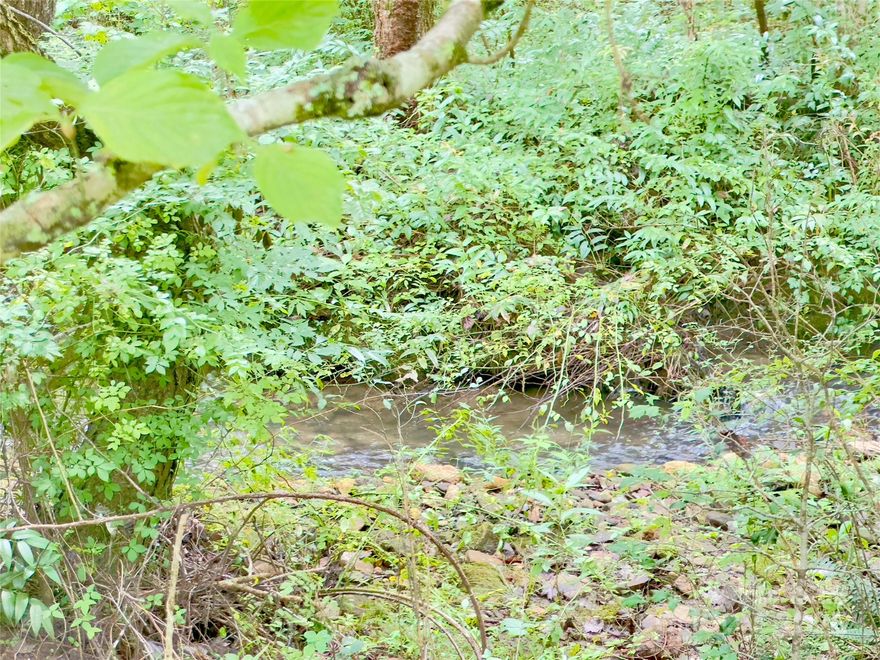 Discover approximately 11.03 acres of land offering a blend of privacy and convenience. This property features generous road frontage for easy access and a creek running through the front section of the land, adding natural beauty and character. A recent survey is on file, providing boundaries and peace of mind. Buyer will be responsible for obtaining septic and well permits. Whether you’re looking for a future homesite, recreational retreat, or investment opportunity, this property presents endless potential.