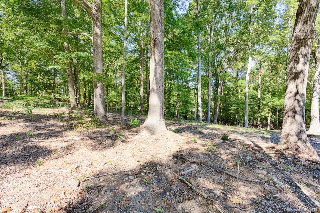 Barbara Ann Park - Residential