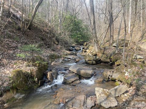 00 Cane Creek Road TR B Cullowhee NC 28723