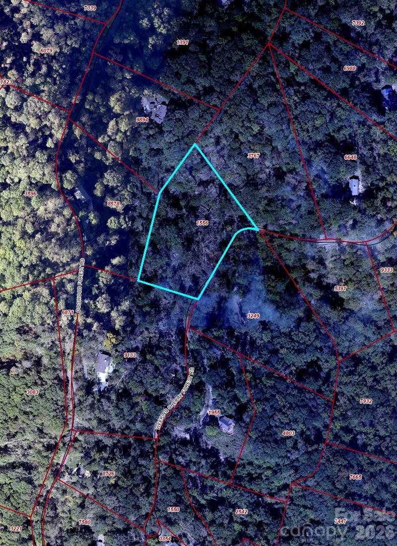 Fairview Forest - Land