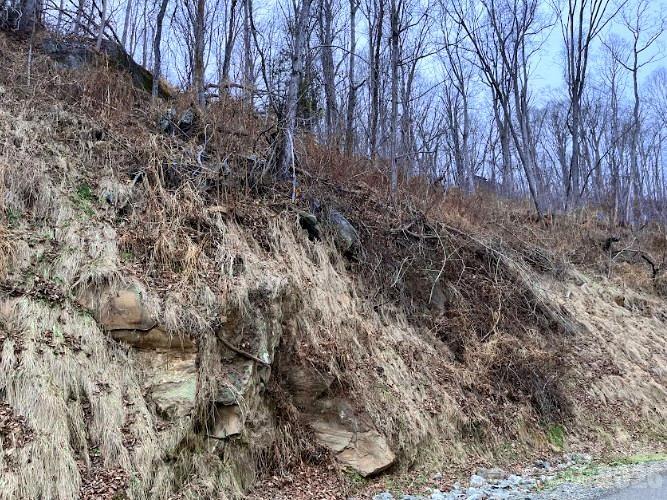 89 Weeping Cherry Forest Road