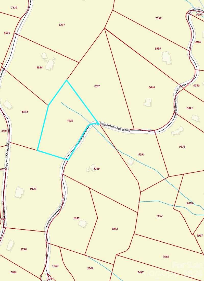 Fairview Forest - Land