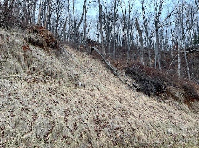 89 Weeping Cherry Forest Road