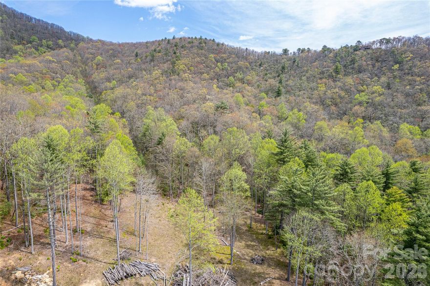 Incredible opportunity to own 8.7 acres of unrestricted land with endless potential. Property features include a gravel road already installed, a large cleared homesite, and a year-round creek running through the back portion of the property. Suitable for single-family residence or future development. Enjoy privacy, natural beauty, and flexibility with no zoning restrictions. Whether you're looking to build your dream home, start a business, or subdivide for multiple homesites, this property offers the perfect canvas. Convenient access located directly across from Burlingame, the gently rolling terrain make for easy construction. Power already runs through the property. Don’t miss this unique investment opportunity—schedule your showing today!